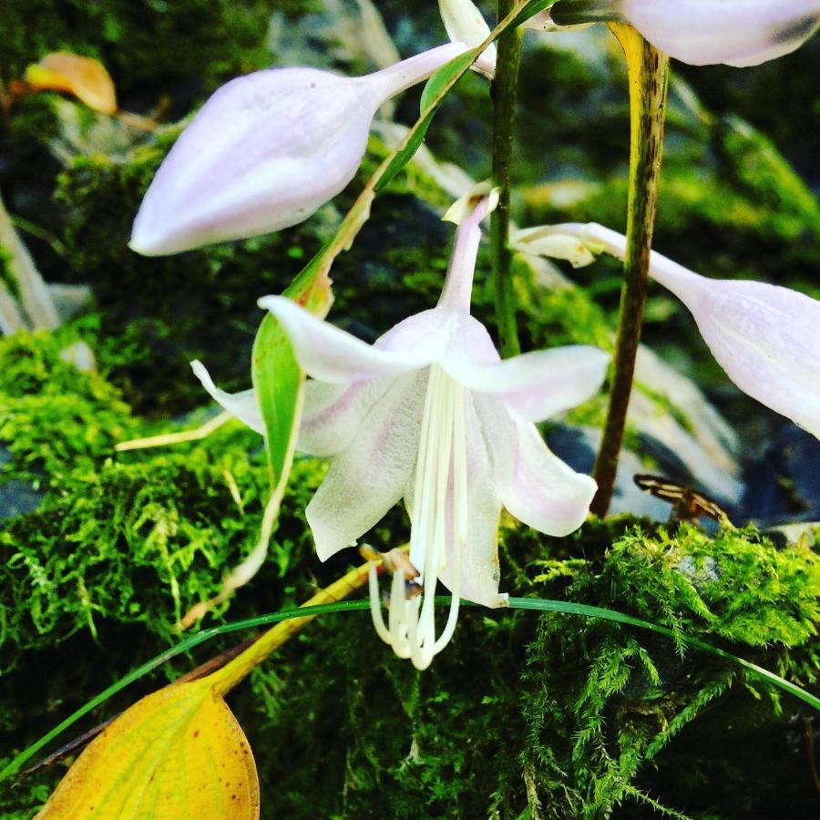 Otsu Nature Garden Akiruno Экстерьер фото