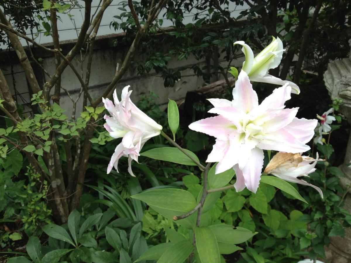 Otsu Nature Garden Akiruno Экстерьер фото