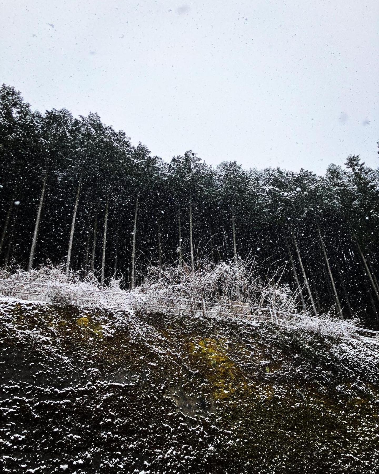 Otsu Nature Garden Akiruno Экстерьер фото