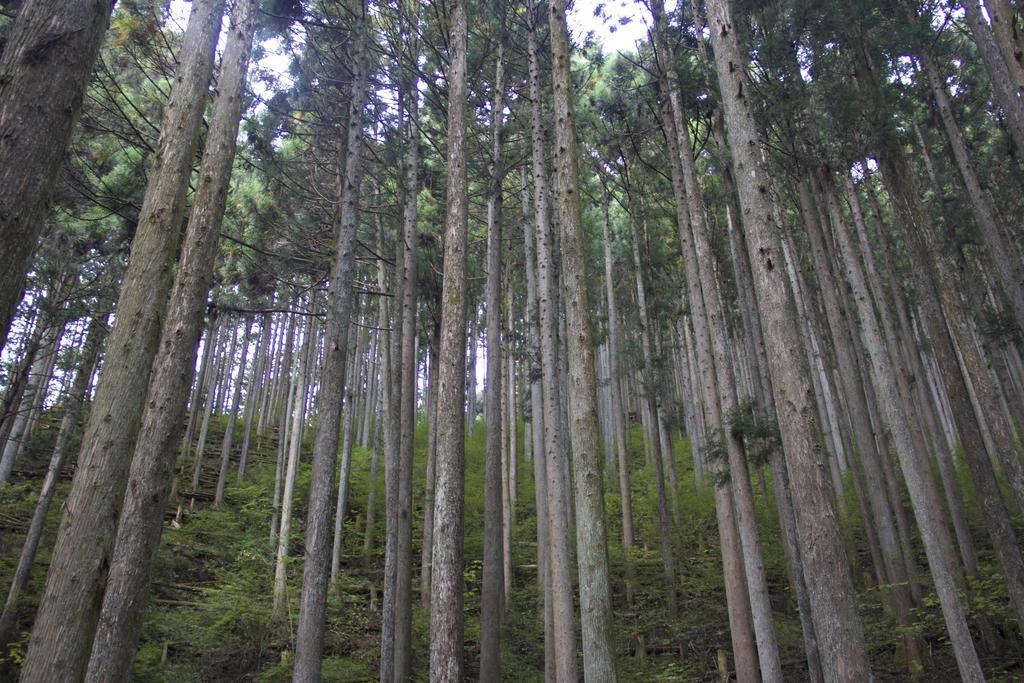 Otsu Nature Garden Akiruno Экстерьер фото