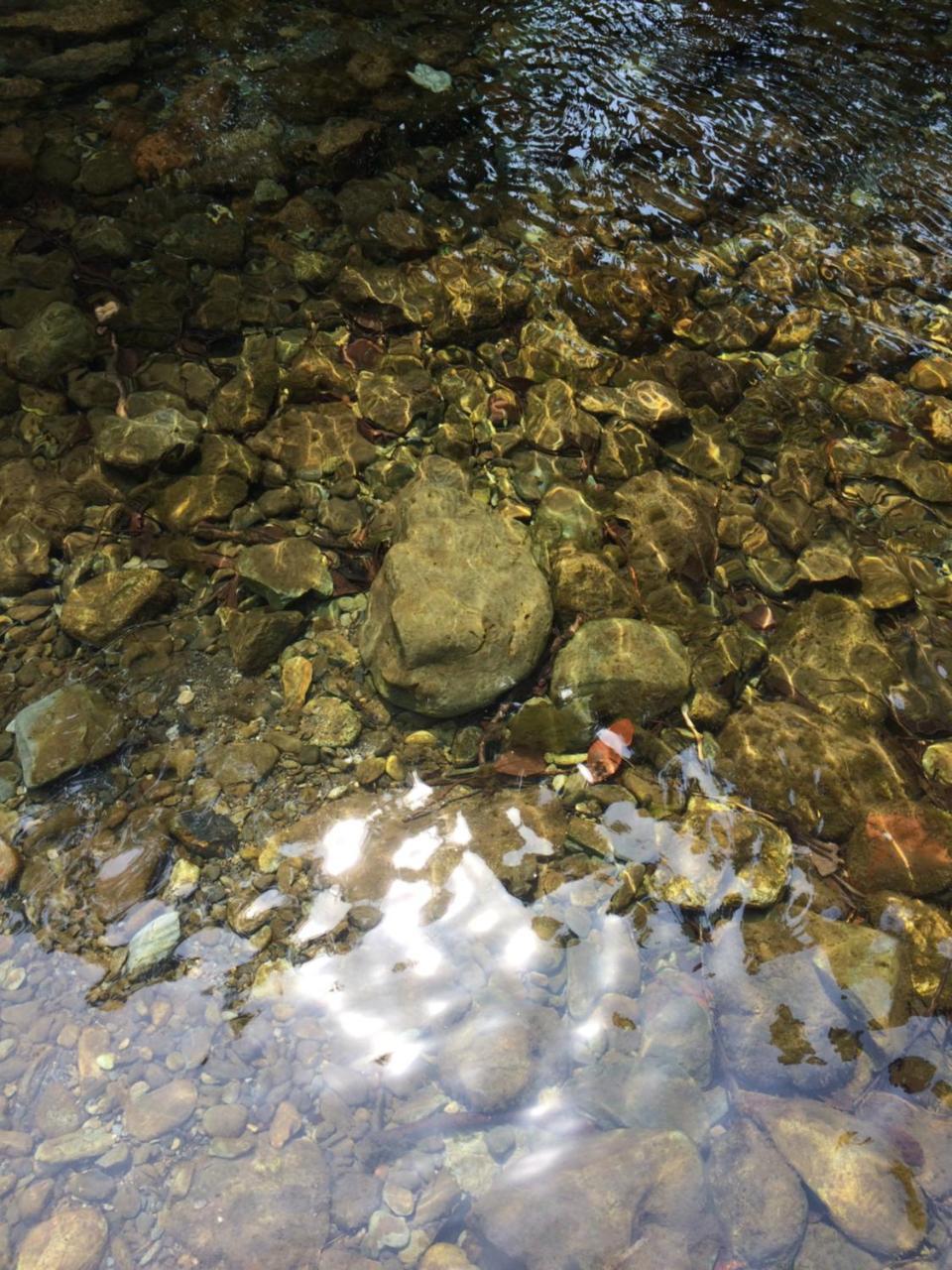 Otsu Nature Garden Akiruno Экстерьер фото